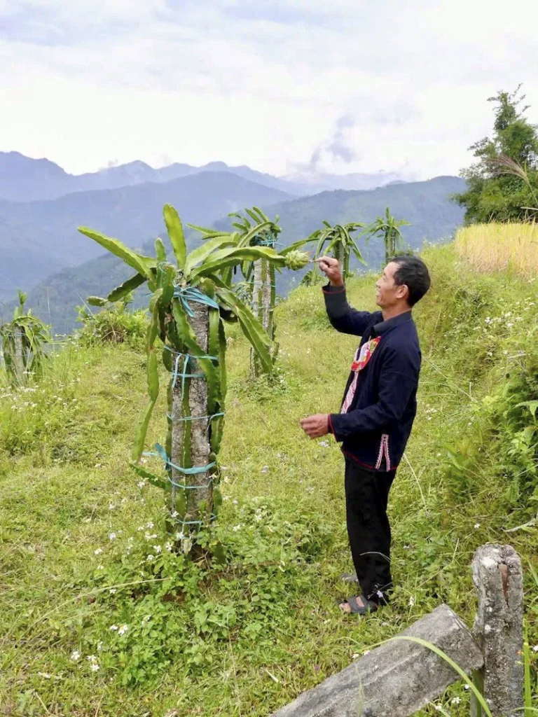ph0178