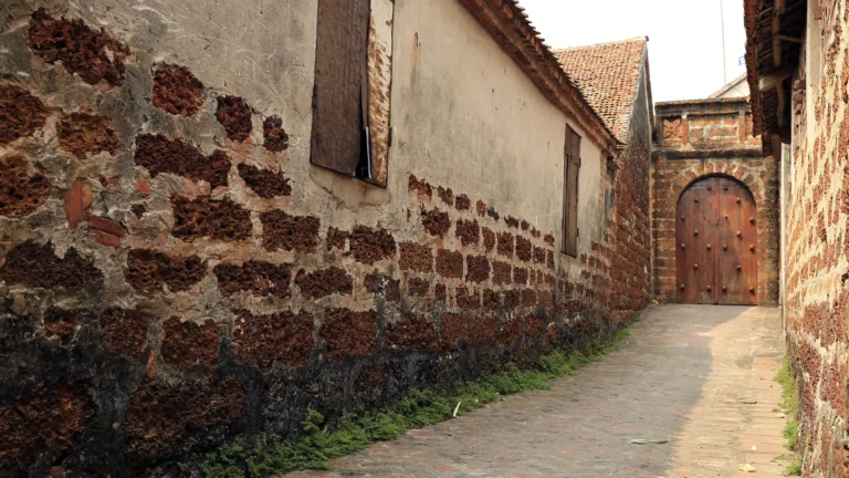 Une ruelle de Đường Lâm bordée de murs en latérite et de maisons aux toits de tuiles.