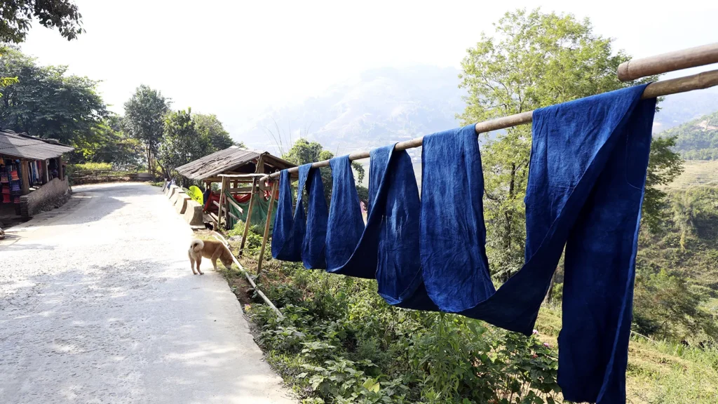 Avant l’indigo Des pièces de tissu teintes à l’indigo sèchent sur une structure en bambou à Lao Chải, près de Sa Pa.