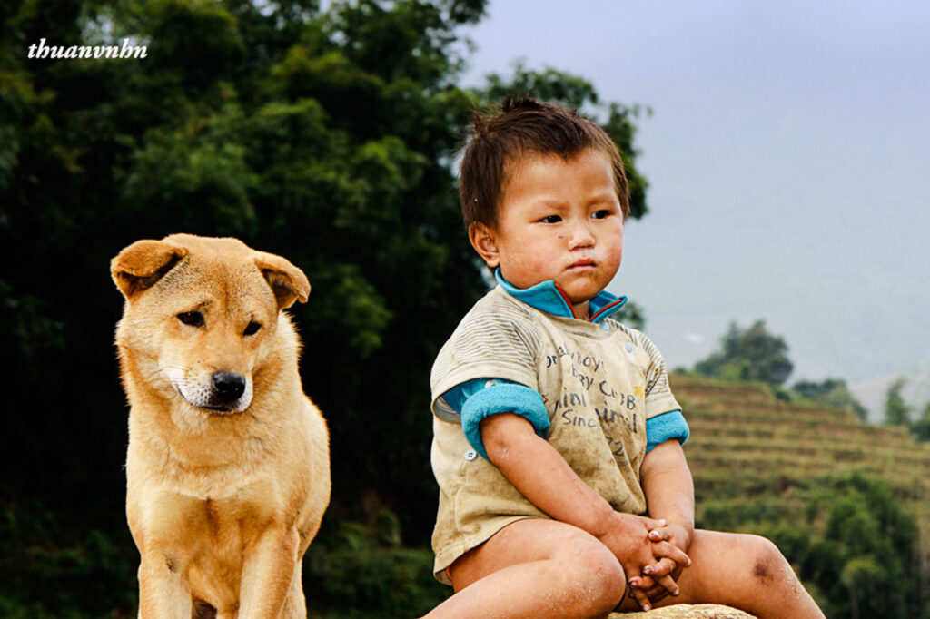 Un enfant assis à côté d’un chien, devant les rizières en terrasses de Lao Chải, à Sa Pa.