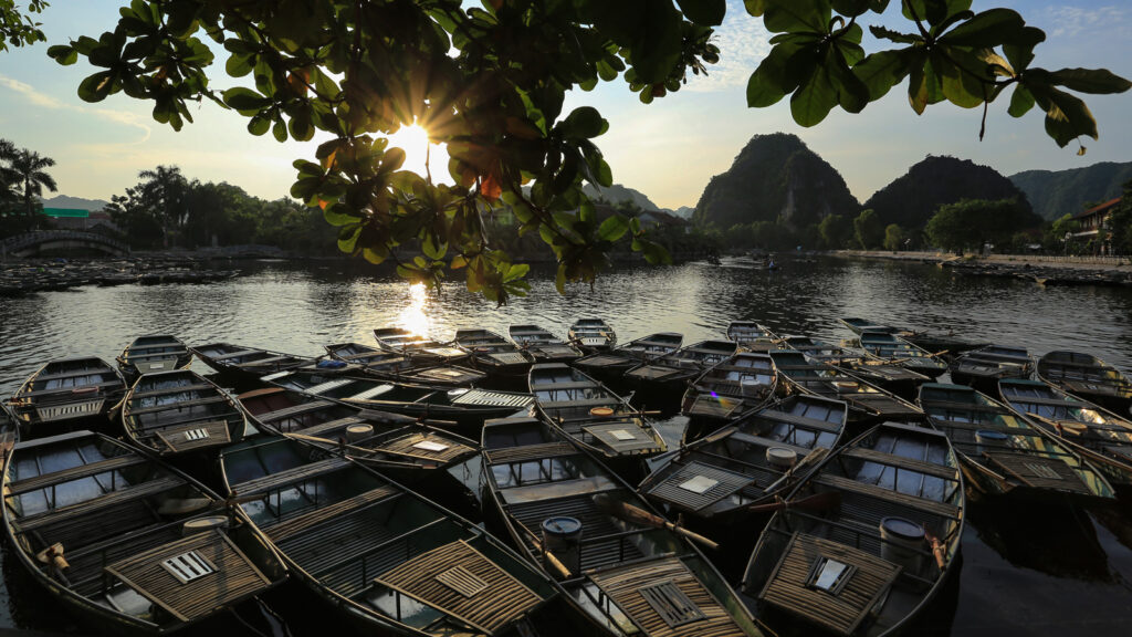 Barques alignées à l’embarcadère de Tam Cốc, sous les feuillages et le soleil bas.
